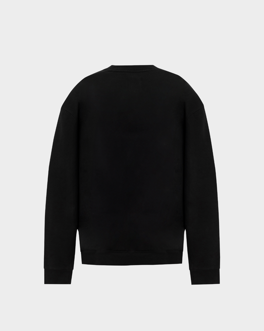 CREW NECKM REGULARFIT VERGE