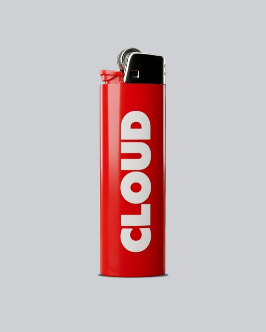 ENCENDEDOR MAXI BIC: ESTOS SAPOS