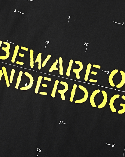 BEWARE OF UNDERDOGS