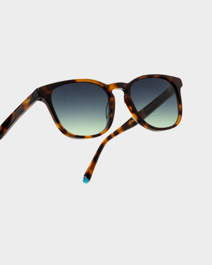 CHELSEA TORTOISE SOL